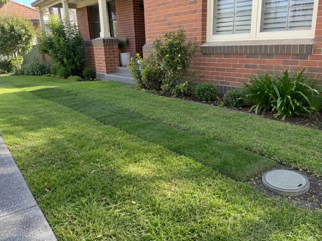 Reinstated lawn with a round sewer inspection cover beside a brick house in Chatswood